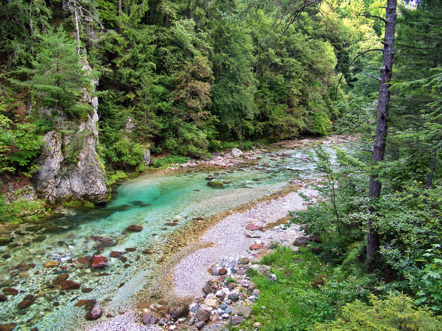 I colori meravigliosi del fiume I colori meravigliosi del fiume