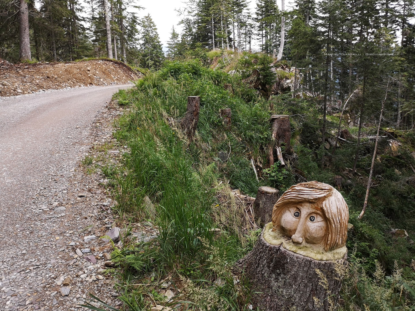 Il sentiero con le statue di legno Il sentiero con le statue di legno
