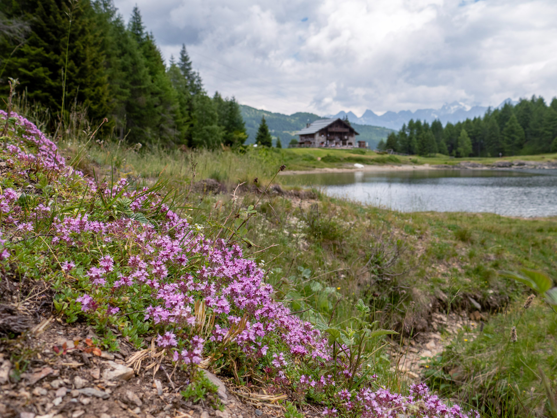 Il rifugio visto dalla sponda opposta del lago Il rifugio visto dalla sponda opposta del lago
