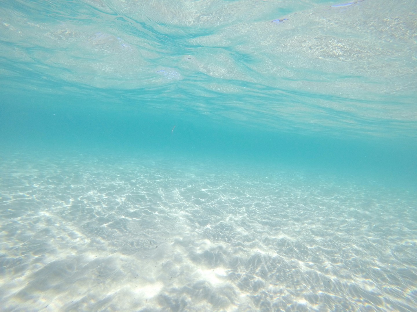 Cala Violina - Acqua Cristallina Cala Violina - Acqua Cristallina