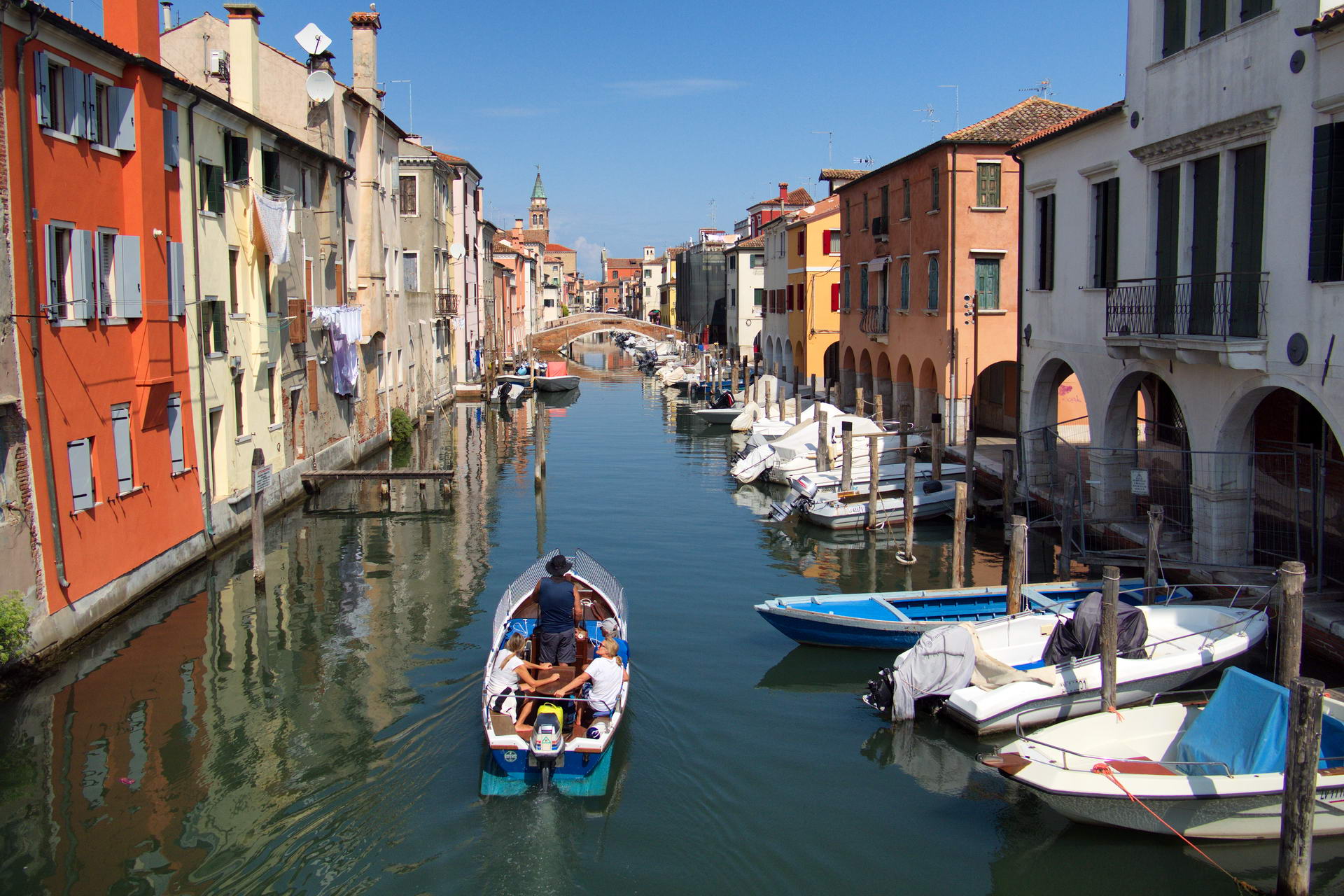 Chioggia chioggia6