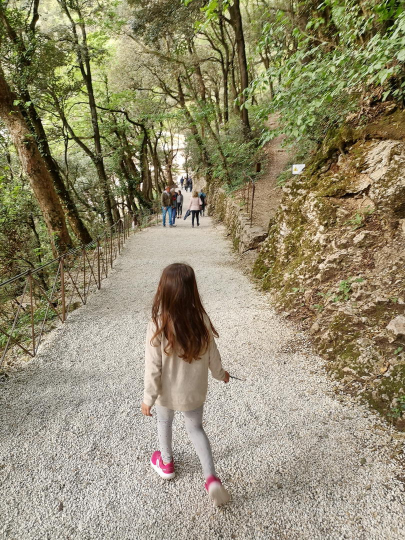 Il bosco che circonda l'Eremo delle Carceri IMG 20180430 181622