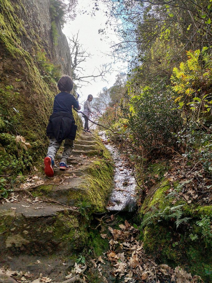 Si passeggia tra i tumuli etruschi Si passeggia tra i tumuli etruschi