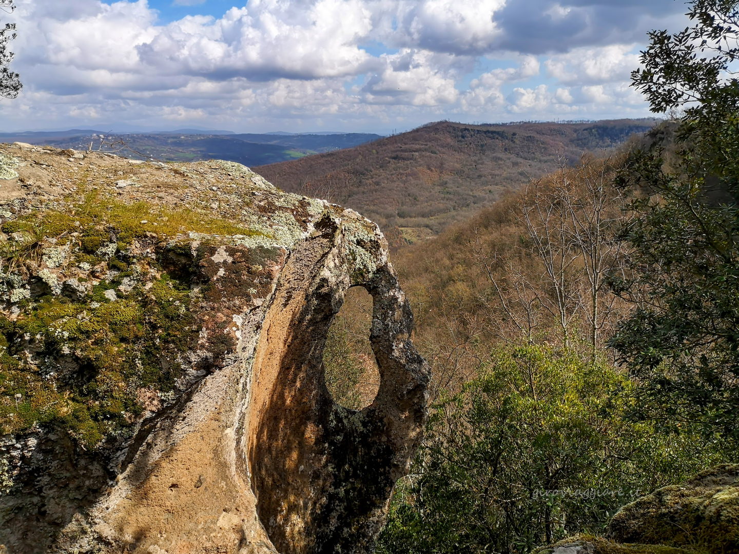 La tuscia La tuscia