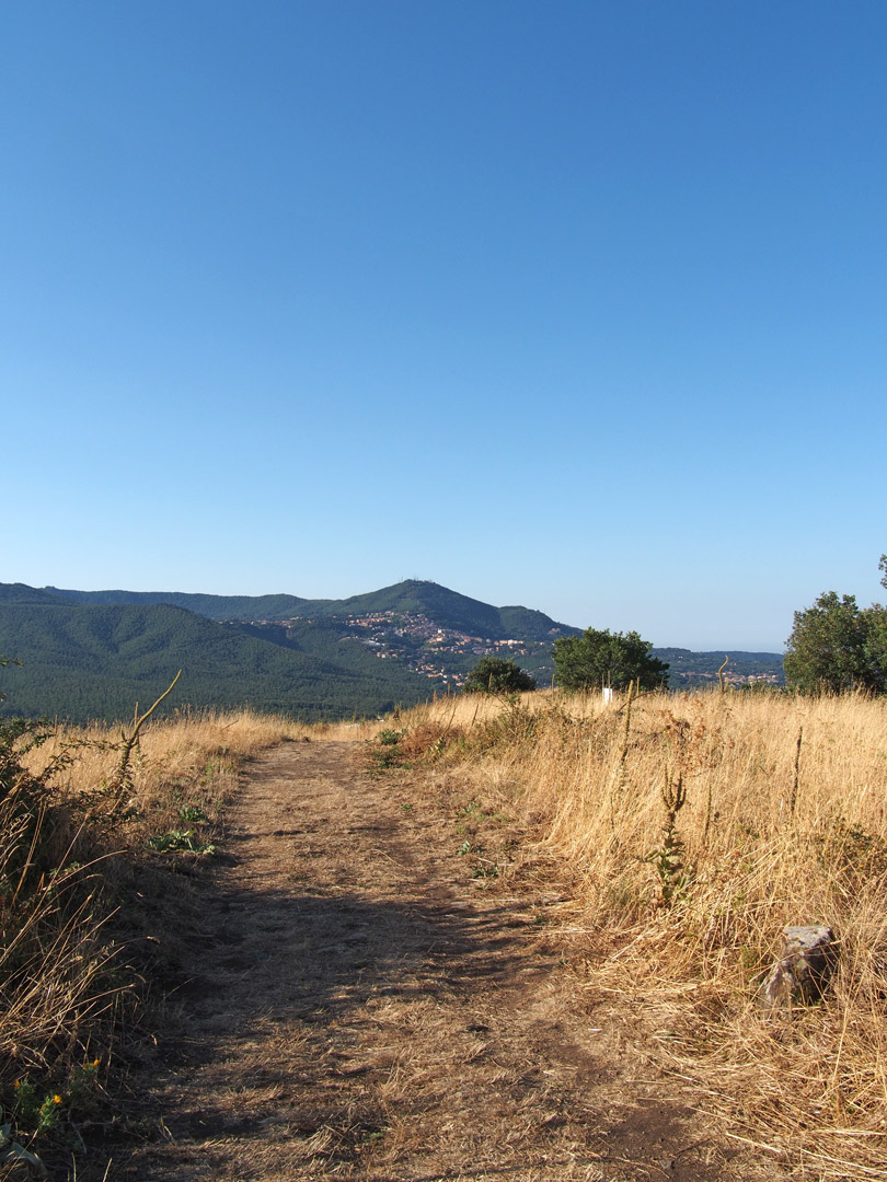 Monte Cavo visto dalla cima del Tuscolo Monte cavo